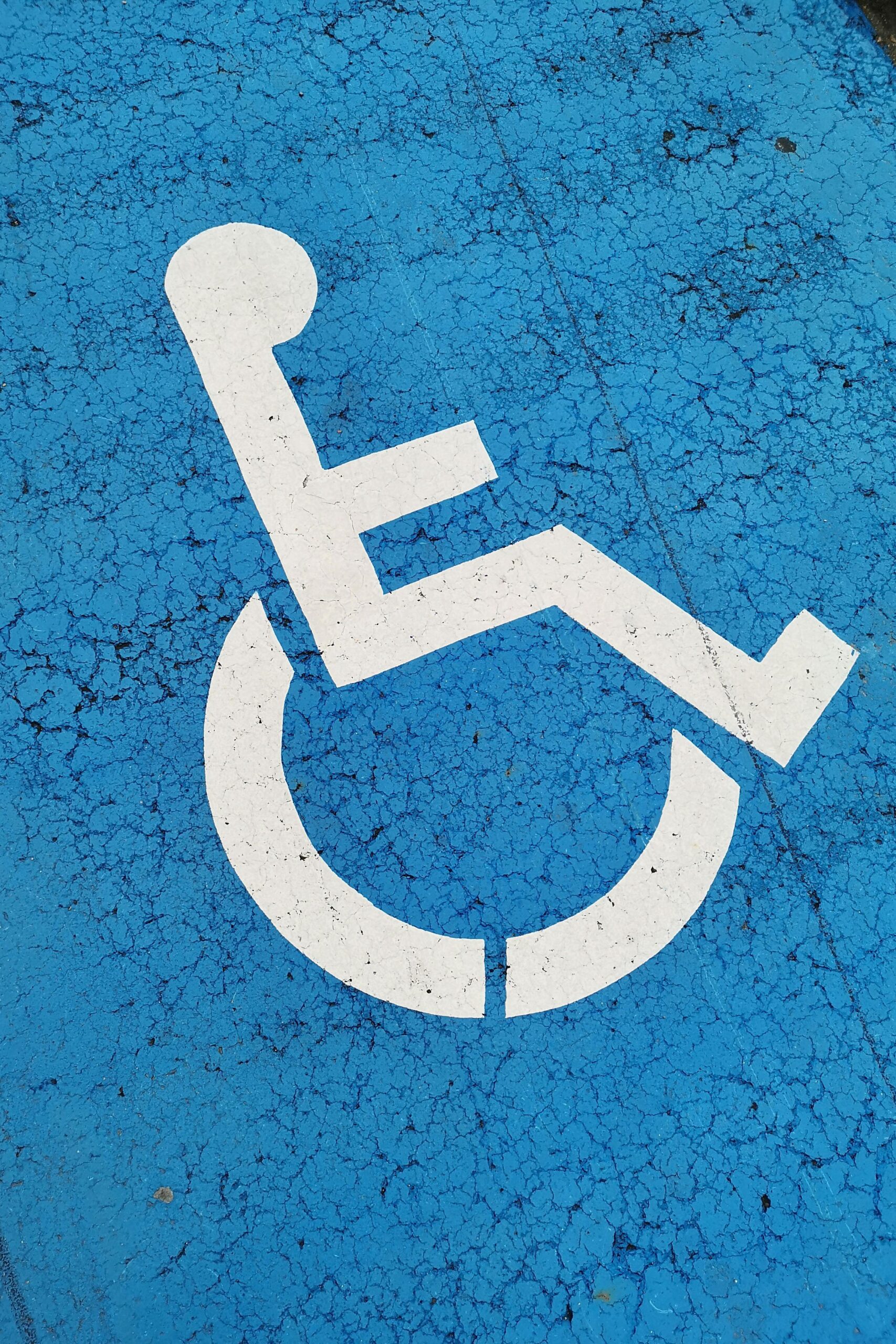 Assistance with a disability or mobility: What are the options?